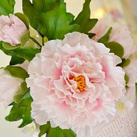 Pink Peony and Lace