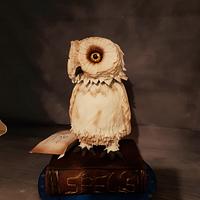 Hedwig moving owl cake