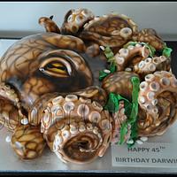 OCTOPUS CAKE - + step by step collage