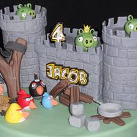 Jacob's Angry Birds!