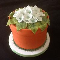 Hydrangea birthday cake