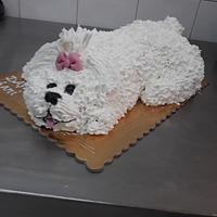 Wipped cream dog cake 