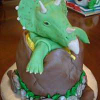 Baby Triceratops 