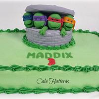 Ninja Turtle Birthday