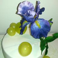 Spring with Irises and bubbles