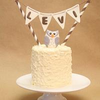 Snowy Owl Smash Cake