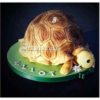 3d turtle cake