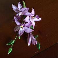 Spathoglottis orchid arrangement.