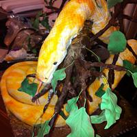 Bermese Python in Tree