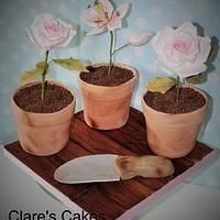 Flowerpots cake