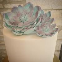 Mint Rose Ruffle and Sequin Cake with Succulents 