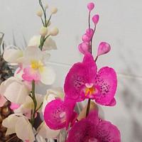 gum paste Moth Orchid