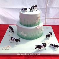 Anniversary 'Dowry' Cake!