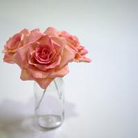 English rose ombre