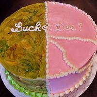 Buck or Doe? baby shower cake BC
