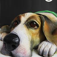 Beagle!!