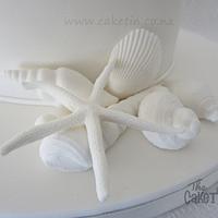White on White Seashells