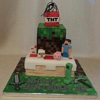 Mine Craft Cake for Icing Smiles