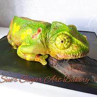 Chameleon Cake