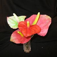 anthurium