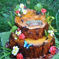 insect cake