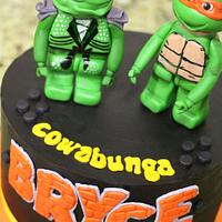 Ninjago and TMNT Combo Cake
