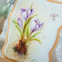 Spring is in the Air! Royal Icing Cookie Art 