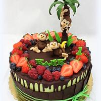 Merry monkeys Merry monkeys