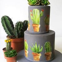 Painted Cactus Cake Painted Cactus Cake