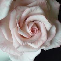 WEDDING CAKE WITH ROSES AND a copy of wedding invitations decor