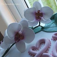 orchid cake