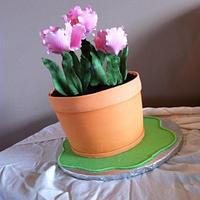 Flower Pot Cake from SugarEd Productions.com 