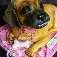 Bischon/Pug cross Dog Cake