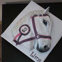 horse for a little girl