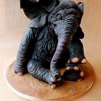 Elephant Cake