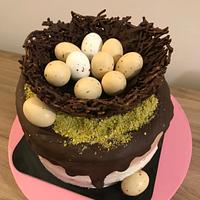  Chocolate nest Cake 