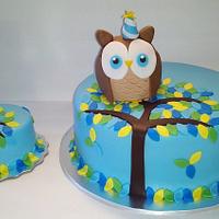 Look Whoo's Turning One Owl