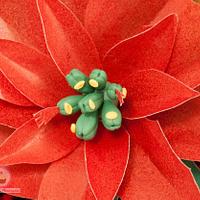 Wafer Paper Poinsettia