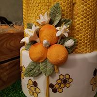 Under the Florida Sun - Florida oranges - Cake Fair 2017