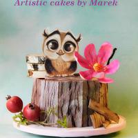 Owl's cake