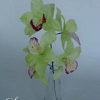 Wafer paper Cymbidium Orchid