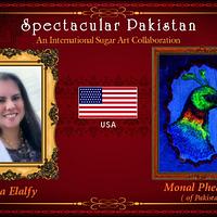 Spectacular Pakistan Collaboration