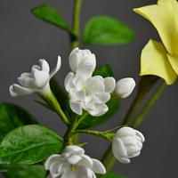 Jasmine, Daffodil