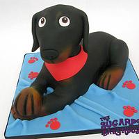 Dog Cake - Doberman Style- Dudley