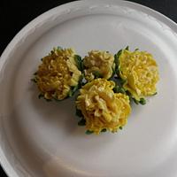 Gumpaste Carnations