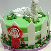 Appaloosa cake