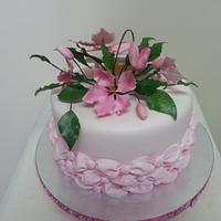Sarah's Birthday cake