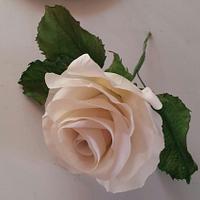Soft White gumpaste Rose  