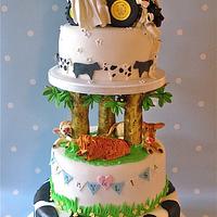  Jimmy's Farm wedding cake