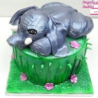 Elephant Cake Elephant Cake